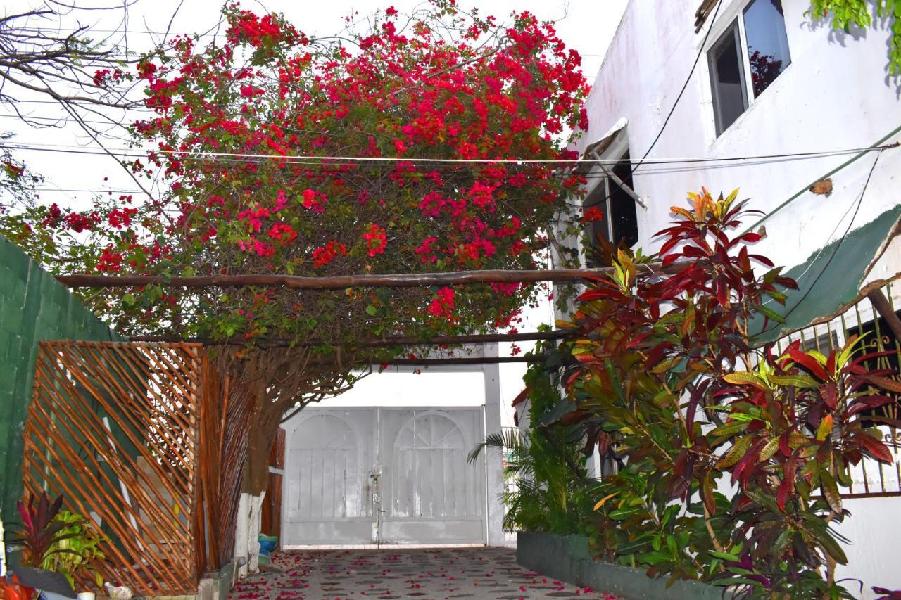 Lobo Inn Тулум Екстер'єр фото