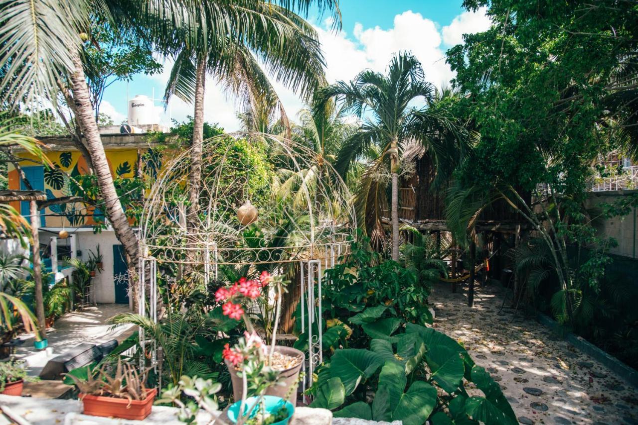 Lobo Inn Тулум Екстер'єр фото